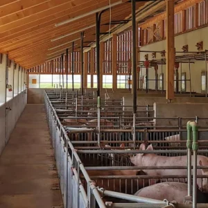 Welcome to Zion Farms a subsidiary of Zion Global Group, Kindly message us to know more.